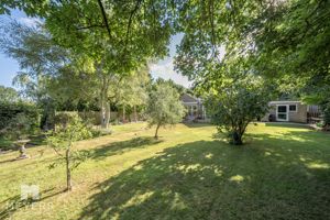 Photo 10- click for photo gallery